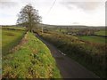 Lane past Kingford Farm