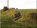 Field boundary by the West Devon Way