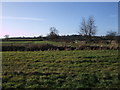 Bedlam Lane from road to Pentylands Farm