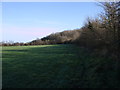 Footpath to Little Crouch