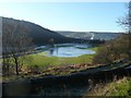 The playing field lake, Brearley