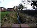 A stream beside Donnington Drive