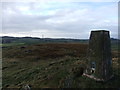 NS5055 : Trig pillar and fort, Duncarnock by David Brown