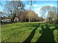 Tree shadows on the grass at Stubbington