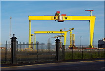 J3574 : The most famous cranes in Belfast by Rossographer