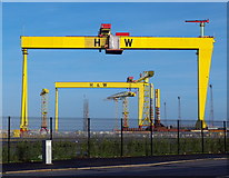 J3575 : The most famous cranes in Belfast by Mr Don't Waste Money Buying Geograph Images On eBay