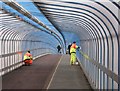 Cleaning the cycle bridge