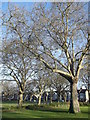 Path in Central Park, East Ham