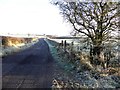 Frosty along Killyburn Road