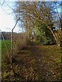 Bridleway south of Canterbury Rew to the west of Dunsfold church