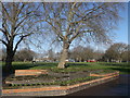 Plashet Park flower borders