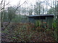 Decaying shed in Jubilee Wood