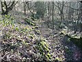 Disused access track to the site of Daisy Bank