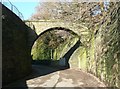 Aqueduct over the road to Washer Lane Dyeworks