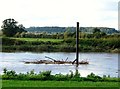 SO8425 : River Severn at Wainlode by nick macneill