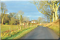 Minor road near Lintrose House