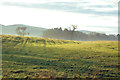 Farmland near Lintrose House