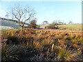 Drumnakilly Townland