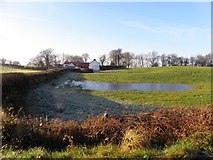 H5373 : Flooded field, Drumnakilly by Kenneth  Allen
