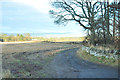 Access track to Hallyburton Quarry