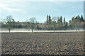 Fields, mist and trees near Hallyburton House