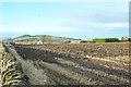 Farmland near Eastfield