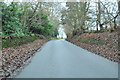 Road near Baldovan House