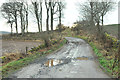 Farm road to Bonnyton