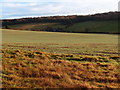 Across the valley to Well Farm