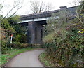 East side of a railway viaduct, Stonehouse