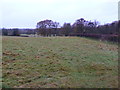 Fields at Temple Lane