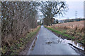 Minor road near Netherton