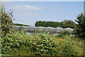 Glasshouses, Hamstreet Garden Centre