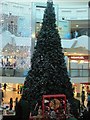 Christmas Tree in Churchill Square