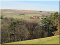 East Allendale around Pry Hill