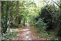 Footpath by Pen Stream