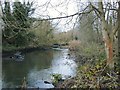 The River Crane in December