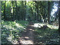 Path heading to Buckland