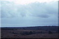 SU2309 : New Forest: looking south near Bratley Arch by Christopher Hilton