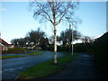 Compass Road from Larard Avenue, Hull