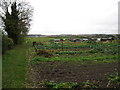 Rothwell allotments