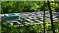 NY6393 : Minotaur Maze, Kielder Castle by Richard Cooke
