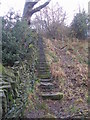 Crimble Clough - steps towards Clough Road