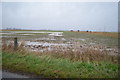 TR0323 : Waterlogged fields on Romney Marsh by Julian P Guffogg