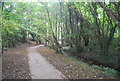 Footpath along Pen Stream