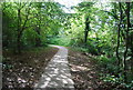 Footpath by Pen Stream