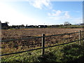 A potato field at the junction of Valley Road and Ballynveaghmore Road