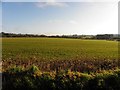 Magheramesk Townland