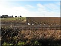 A ploughed field, Trummery