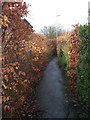 Footpath - Woollin Crescent